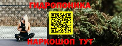 бошки Будённовск