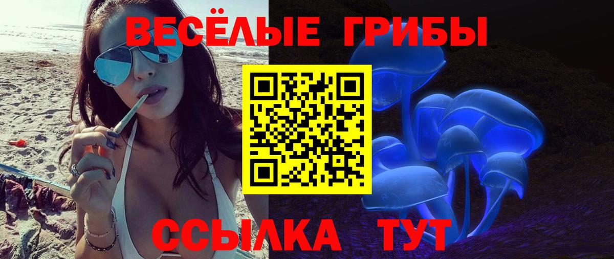 Псилоцибиновые грибы Magic Shrooms Тамбов