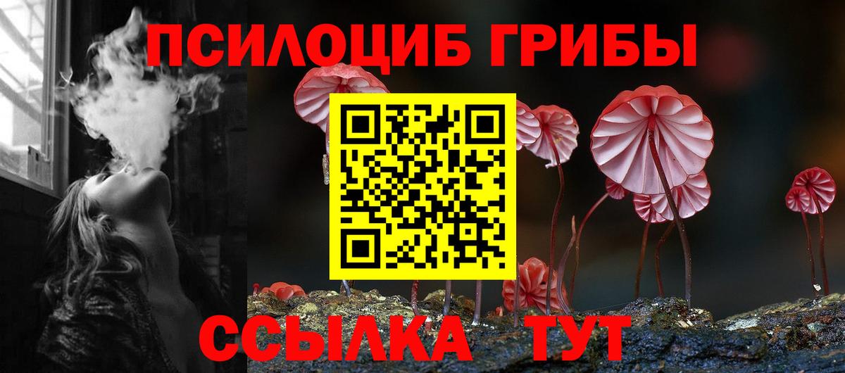 Тамбов  Псилоцибиновые грибы ЛСД  Вход с VPN 